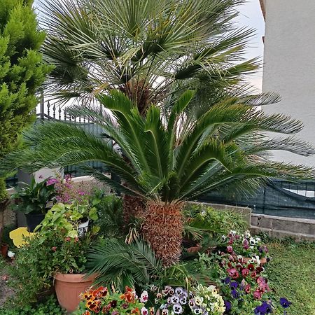 Bed And Breakfast Angolo Fiorito Civitavecchia Exteriér fotografie