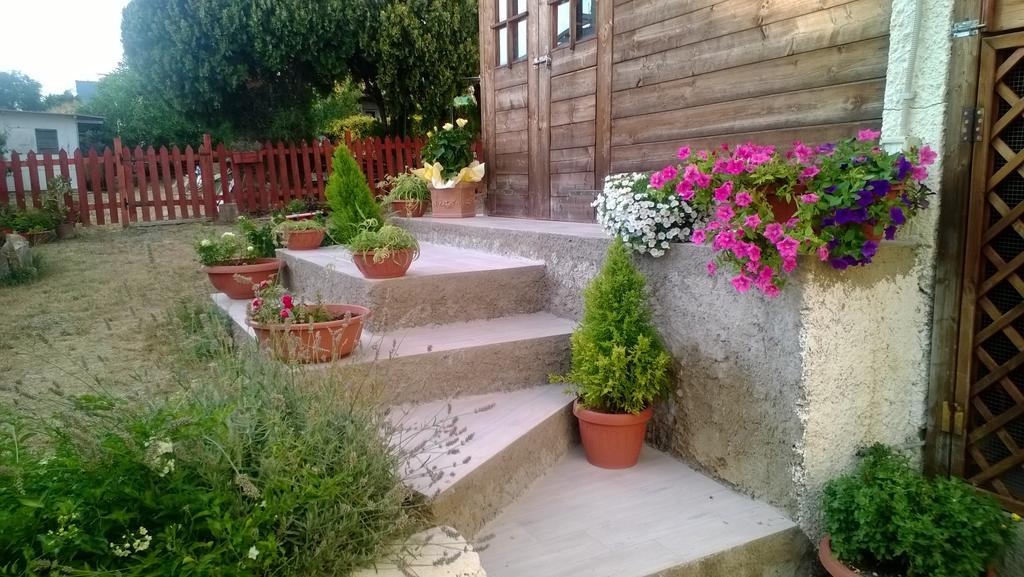 Bed And Breakfast Angolo Fiorito Civitavecchia Exteriér fotografie
