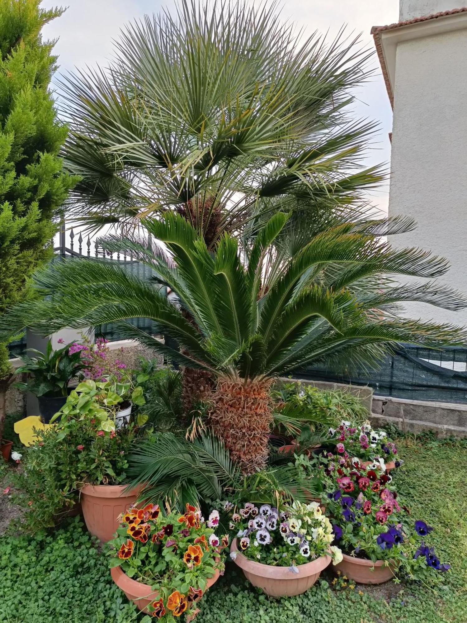 Bed And Breakfast Angolo Fiorito Civitavecchia Exteriér fotografie