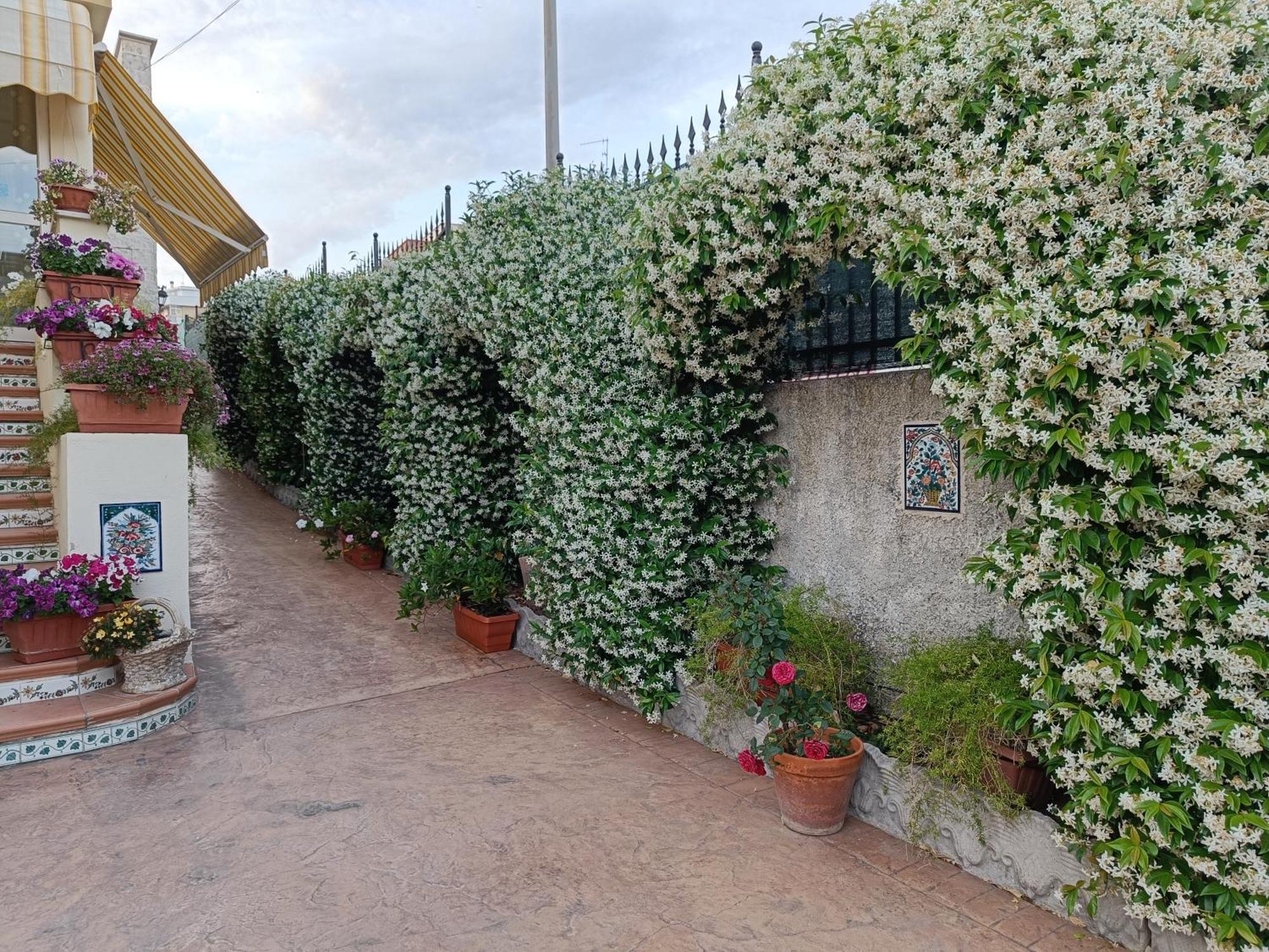 Bed And Breakfast Angolo Fiorito Civitavecchia Exteriér fotografie