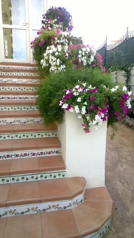 Bed And Breakfast Angolo Fiorito Civitavecchia Exteriér fotografie