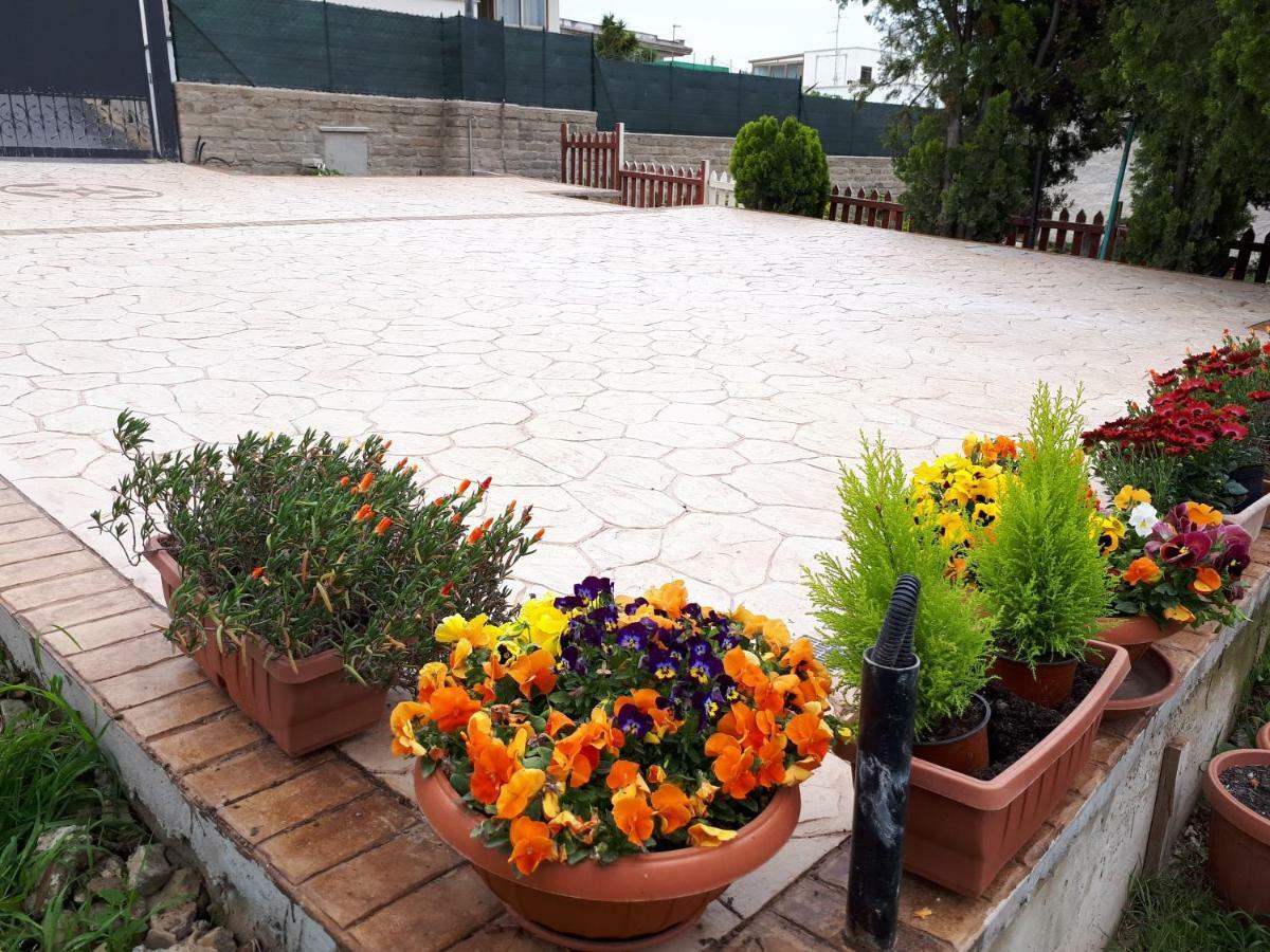 Bed And Breakfast Angolo Fiorito Civitavecchia Exteriér fotografie